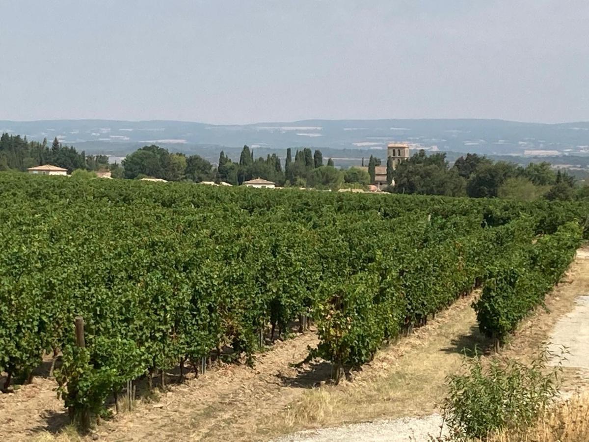 Maison Delmas, L'Oustal Du Recantu Sainte-Eulalie  Luaran gambar